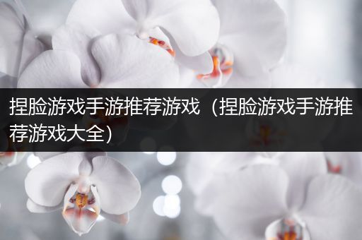 捏脸游戏手游推荐游戏（捏脸游戏手游推荐游戏大全）