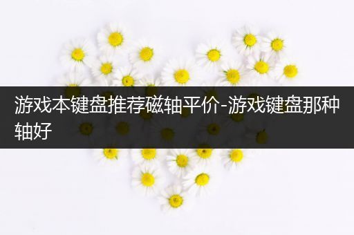 游戏本键盘推荐磁轴平价-游戏键盘那种轴好