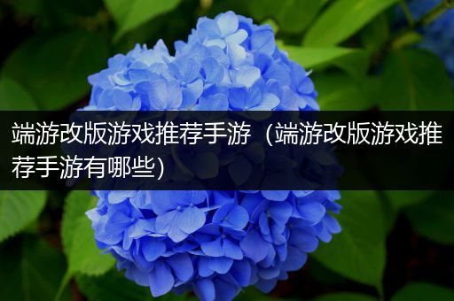 端游改版游戏推荐手游（端游改版游戏推荐手游有哪些）