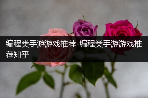 编程类手游游戏推荐-编程类手游游戏推荐知乎
