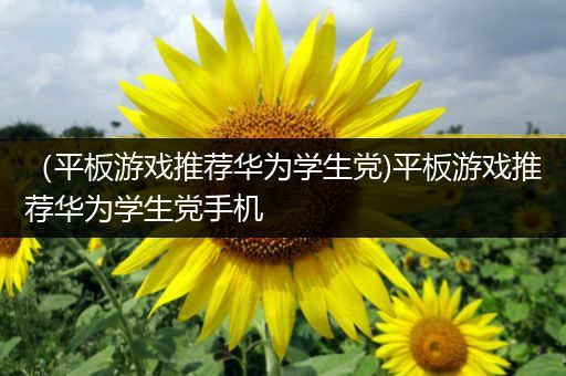 （平板游戏推荐华为学生党)平板游戏推荐华为学生党手机