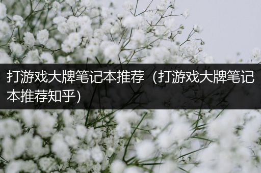 打游戏大牌笔记本推荐（打游戏大牌笔记本推荐知乎）