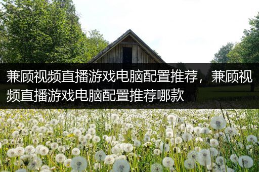 兼顾视频直播游戏电脑配置推荐，兼顾视频直播游戏电脑配置推荐哪款