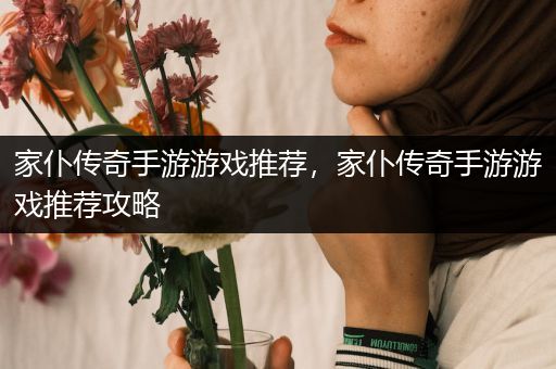 家仆传奇手游游戏推荐，家仆传奇手游游戏推荐攻略
