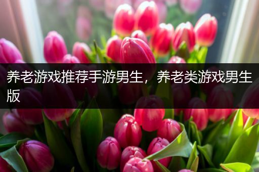 养老游戏推荐手游男生，养老类游戏男生版