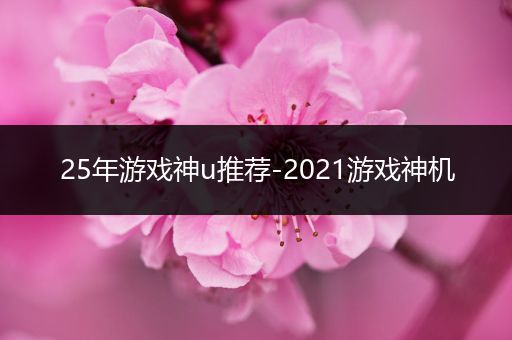 25年游戏神u推荐-2021游戏神机