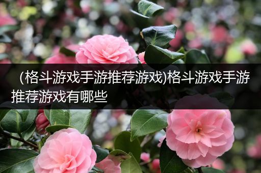 （格斗游戏手游推荐游戏)格斗游戏手游推荐游戏有哪些