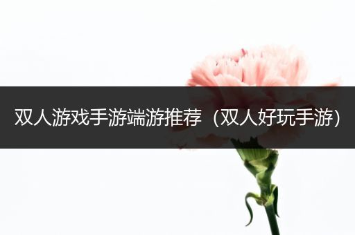 双人游戏手游端游推荐（双人好玩手游）