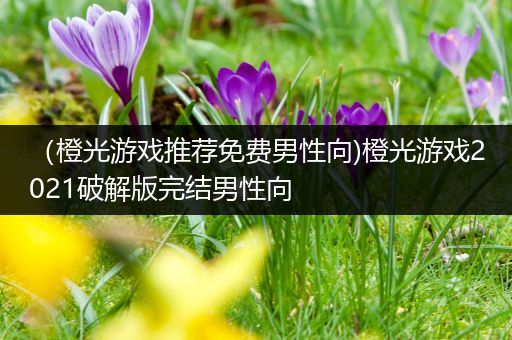 （橙光游戏推荐免费男性向)橙光游戏2021破解版完结男性向