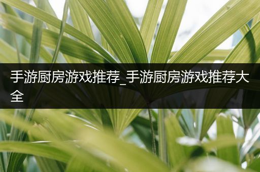手游厨房游戏推荐_手游厨房游戏推荐大全