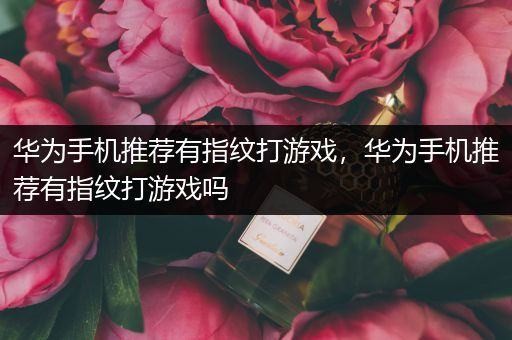 华为手机推荐有指纹打游戏，华为手机推荐有指纹打游戏吗