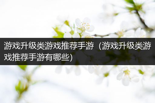 游戏升级类游戏推荐手游（游戏升级类游戏推荐手游有哪些）