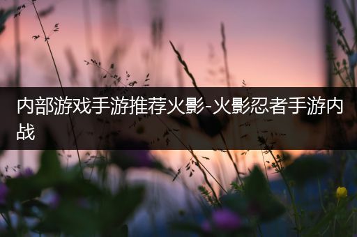 内部游戏手游推荐火影-火影忍者手游内战