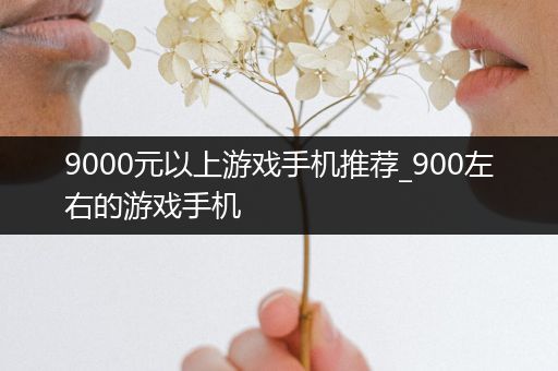 9000元以上游戏手机推荐_900左右的游戏手机