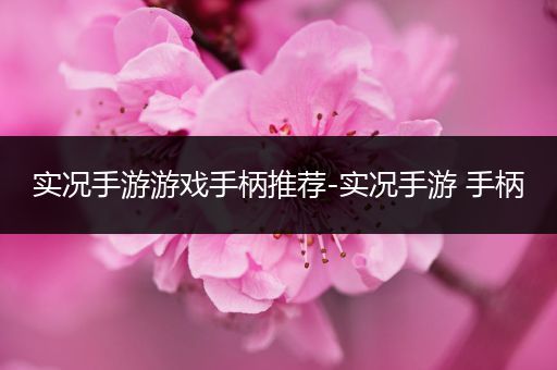 实况手游游戏手柄推荐-实况手游 手柄