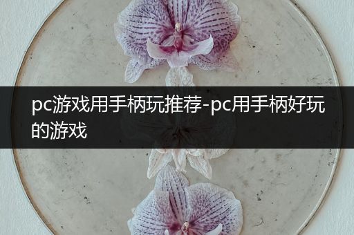 pc游戏用手柄玩推荐-pc用手柄好玩的游戏