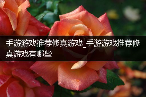 手游游戏推荐修真游戏_手游游戏推荐修真游戏有哪些