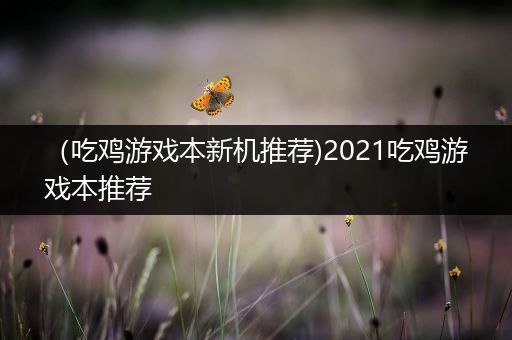 （吃鸡游戏本新机推荐)2021吃鸡游戏本推荐