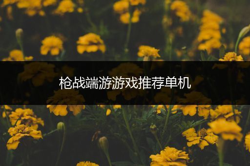 枪战端游游戏推荐单机
