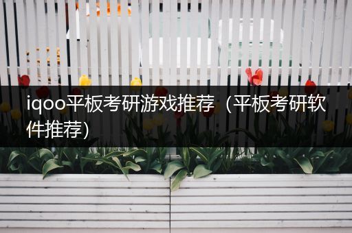 iqoo平板考研游戏推荐（平板考研软件推荐）