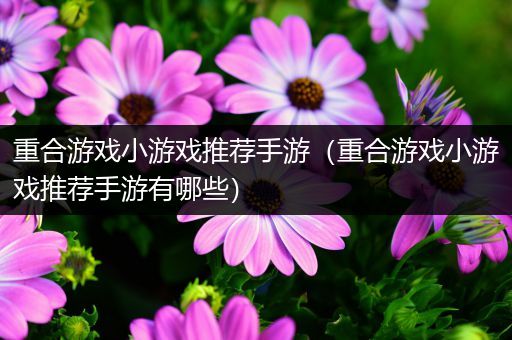 重合游戏小游戏推荐手游（重合游戏小游戏推荐手游有哪些）
