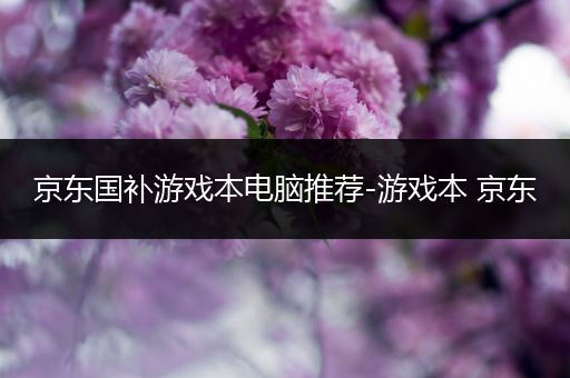 京东国补游戏本电脑推荐-游戏本 京东