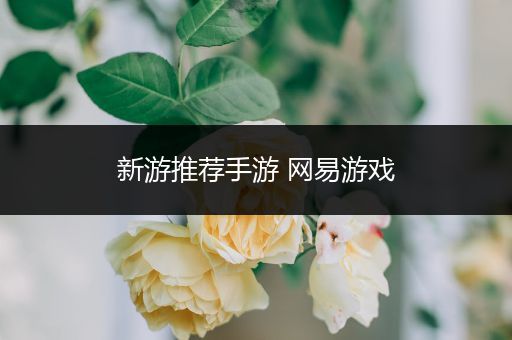 新游推荐手游 网易游戏