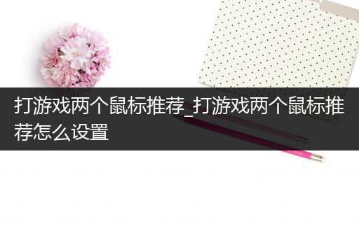 打游戏两个鼠标推荐_打游戏两个鼠标推荐怎么设置