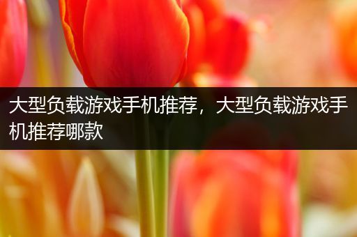 大型负载游戏手机推荐，大型负载游戏手机推荐哪款