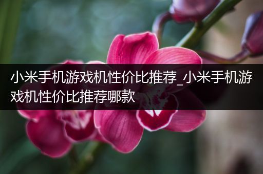 小米手机游戏机性价比推荐_小米手机游戏机性价比推荐哪款