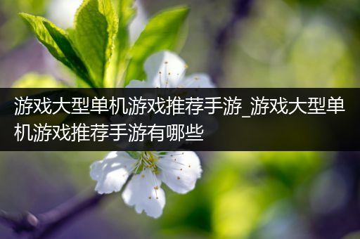 游戏大型单机游戏推荐手游_游戏大型单机游戏推荐手游有哪些