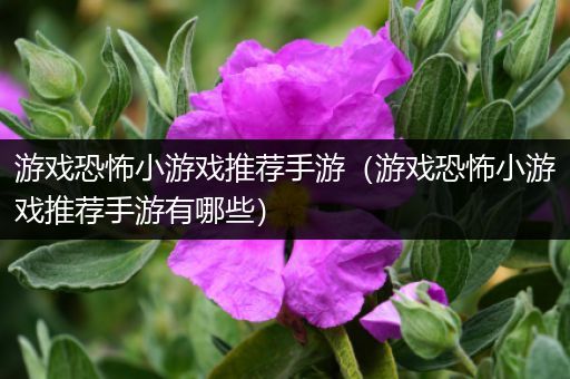 游戏恐怖小游戏推荐手游（游戏恐怖小游戏推荐手游有哪些）