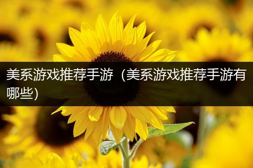 美系游戏推荐手游（美系游戏推荐手游有哪些）