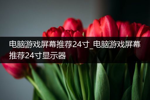 电脑游戏屏幕推荐24寸_电脑游戏屏幕推荐24寸显示器