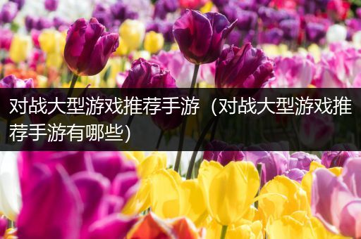 对战大型游戏推荐手游（对战大型游戏推荐手游有哪些）
