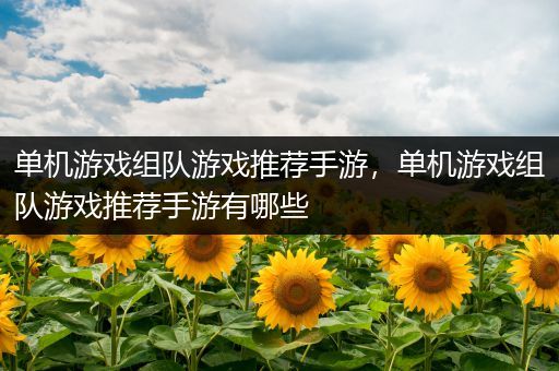 单机游戏组队游戏推荐手游，单机游戏组队游戏推荐手游有哪些