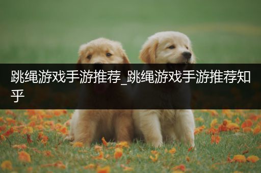 跳绳游戏手游推荐_跳绳游戏手游推荐知乎
