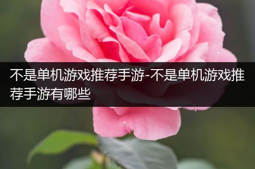不是单机游戏推荐手游-不是单机游戏推荐手游有哪些