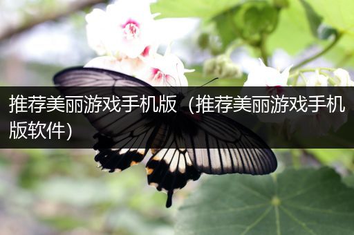 推荐美丽游戏手机版（推荐美丽游戏手机版软件）
