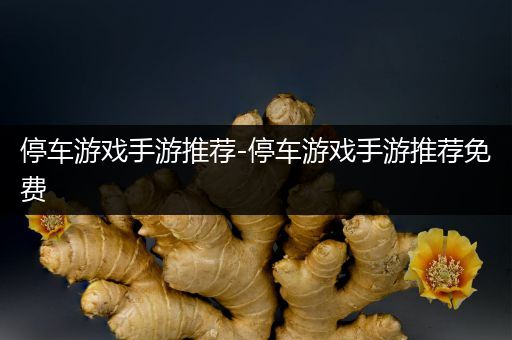 停车游戏手游推荐-停车游戏手游推荐免费