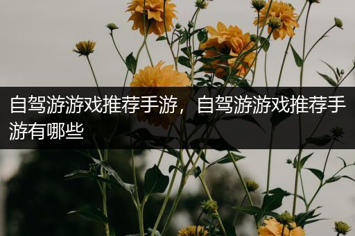 自驾游游戏推荐手游，自驾游游戏推荐手游有哪些
