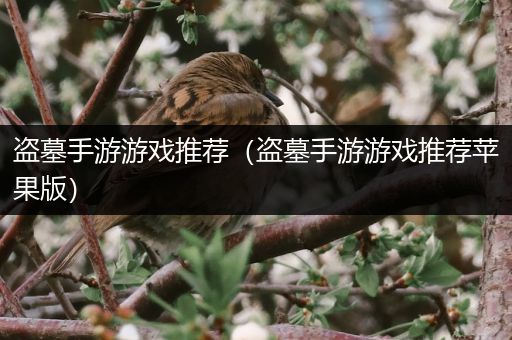 盗墓手游游戏推荐（盗墓手游游戏推荐苹果版）