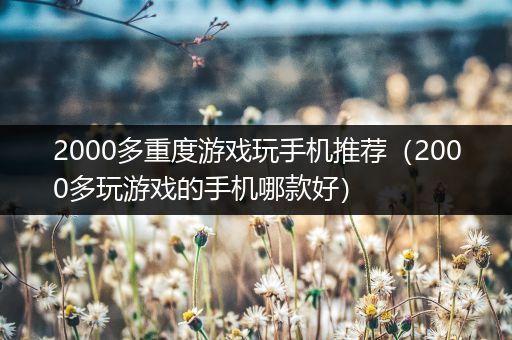 2000多重度游戏玩手机推荐（2000多玩游戏的手机哪款好）