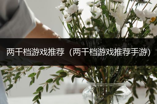 两千档游戏推荐（两千档游戏推荐手游）