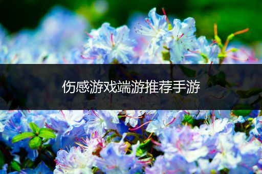 伤感游戏端游推荐手游
