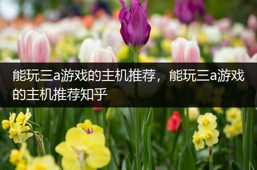 能玩三a游戏的主机推荐，能玩三a游戏的主机推荐知乎