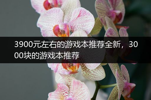 3900元左右的游戏本推荐全新，3000块的游戏本推荐