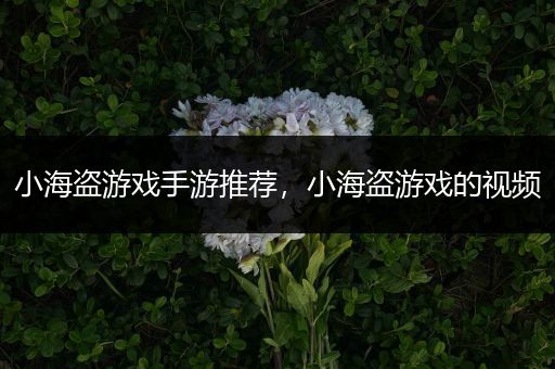 小海盗游戏手游推荐，小海盗游戏的视频