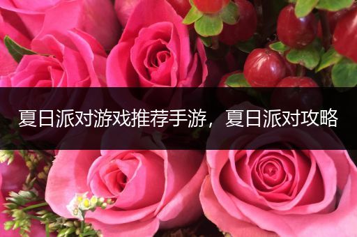 夏日派对游戏推荐手游，夏日派对攻略