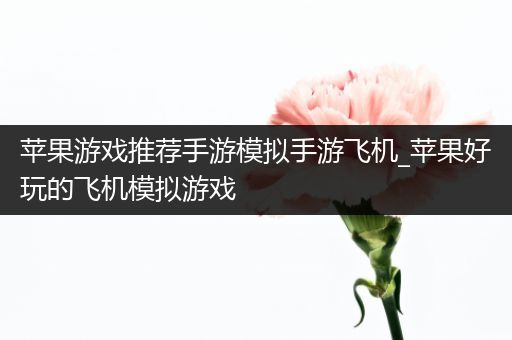 苹果游戏推荐手游模拟手游飞机_苹果好玩的飞机模拟游戏